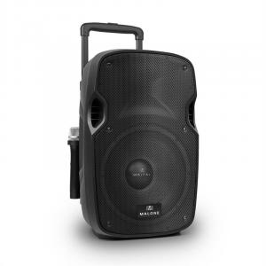 PW- 2912 Coluna PA Ativa Portátil 30cm 350W VHF-Mic 30 cm (12")