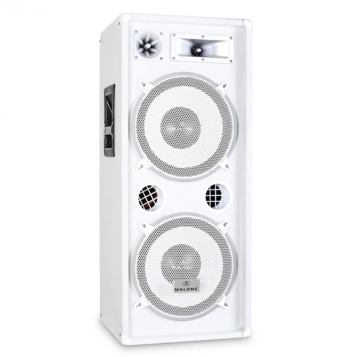 PW-2222 Cassa acustica passiva 2x30cm