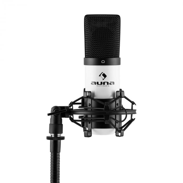 MIC-900 USB Condensatore Microfono Bianco Rene