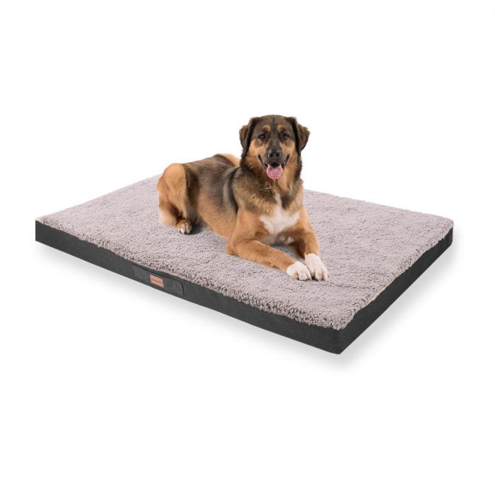30 x 40 orthopedic dog bed