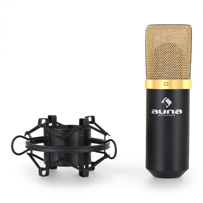 Studio Microphone Set with USB Microphone in Gold / Black & Table
